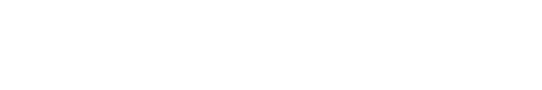 Belgian Pirate Party
